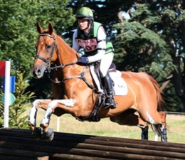 Dutch Double Take (Clive)